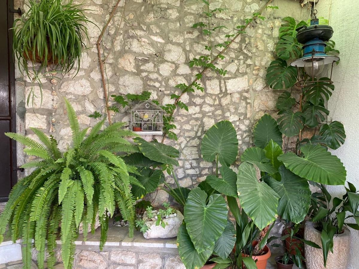 Holiday House Belavista Novi Vinodolski Bagian luar foto